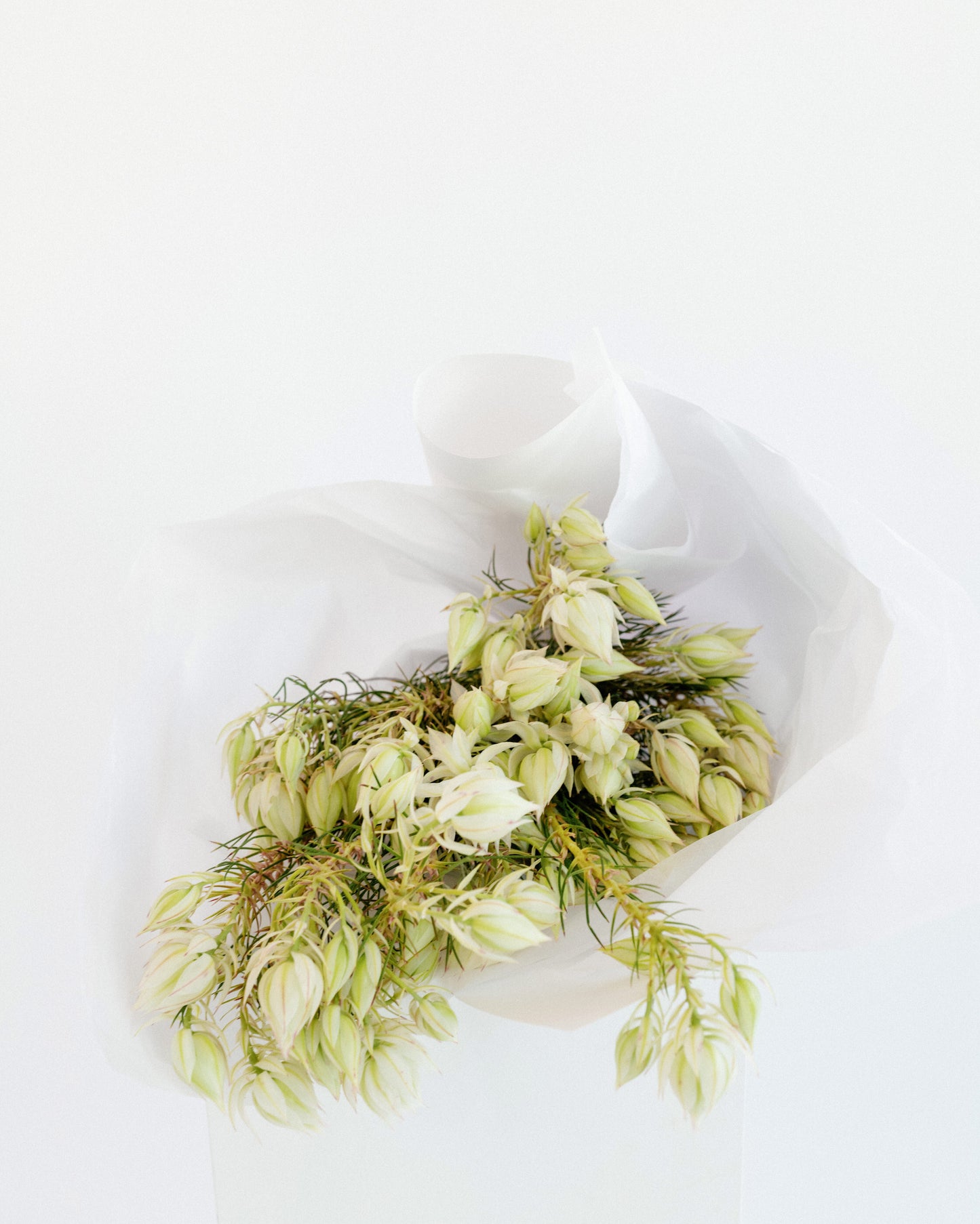 Blushing Bride Flower Bunch