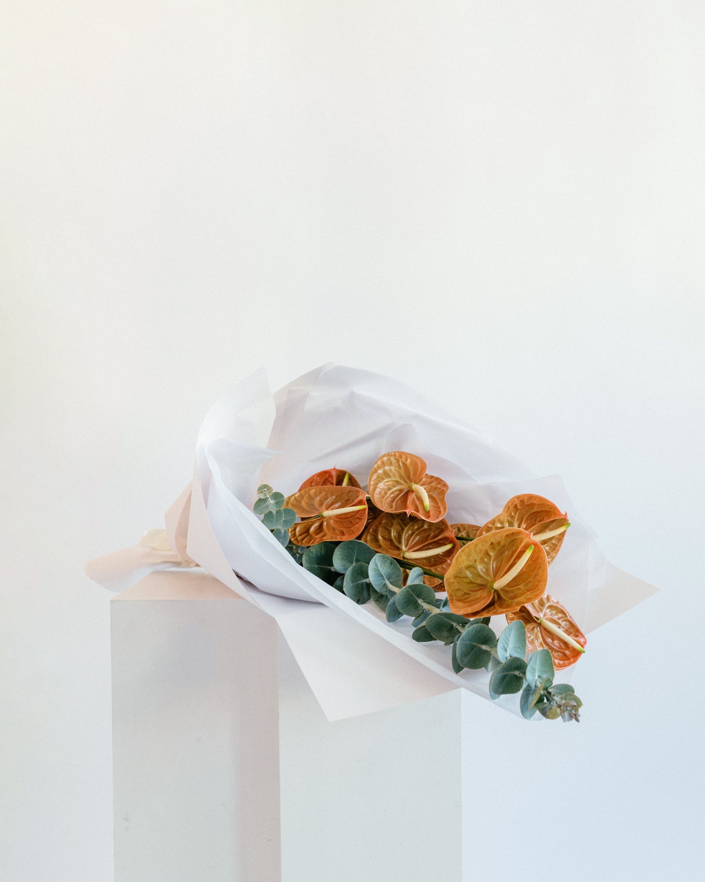 Anthurium Flower Bunch