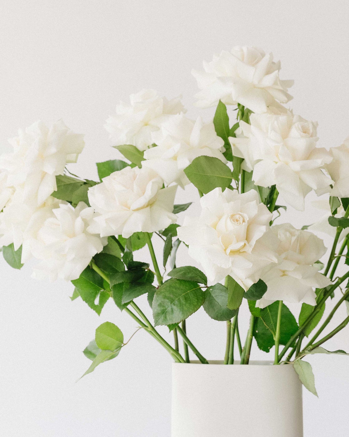 White Roses Flower Bunch