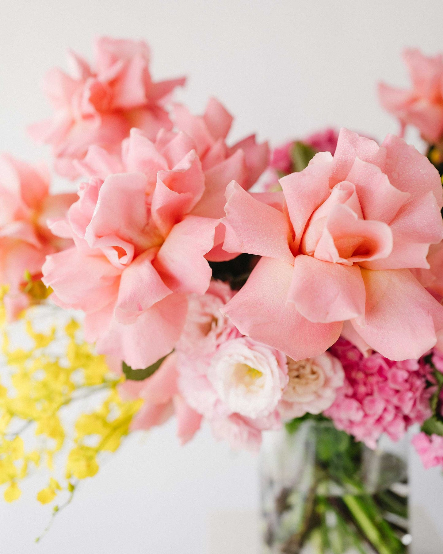 Colour Splash Grande Floral Arrangement