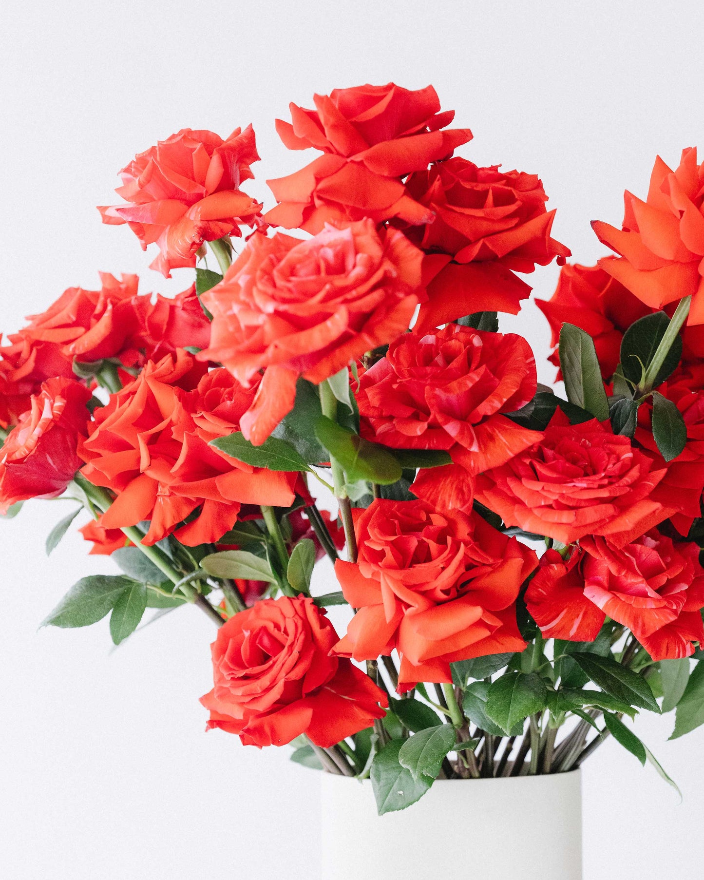 Valentine's Day Red Roses Flower Bunch